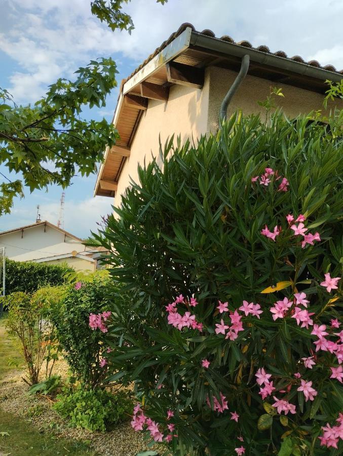 Bed and Breakfast L'Atelier Saint-Sulpice Entre Bordeaux Et St Emilion Exteriér fotografie